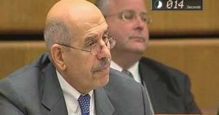 ElBaradei eyes Egypt presidency 